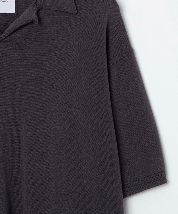 WEGO 【ユニセックス着用ITEM】スキッパーニットポロ ダークグレー