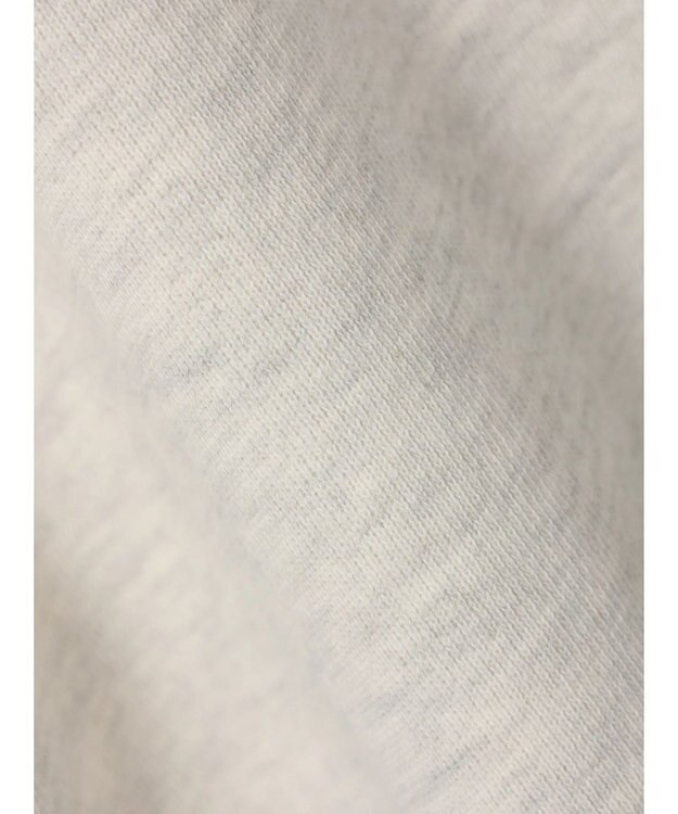 AMERICAN HOLIC ミニ裏毛ロゴカットプルオーバー2 Oatmeal