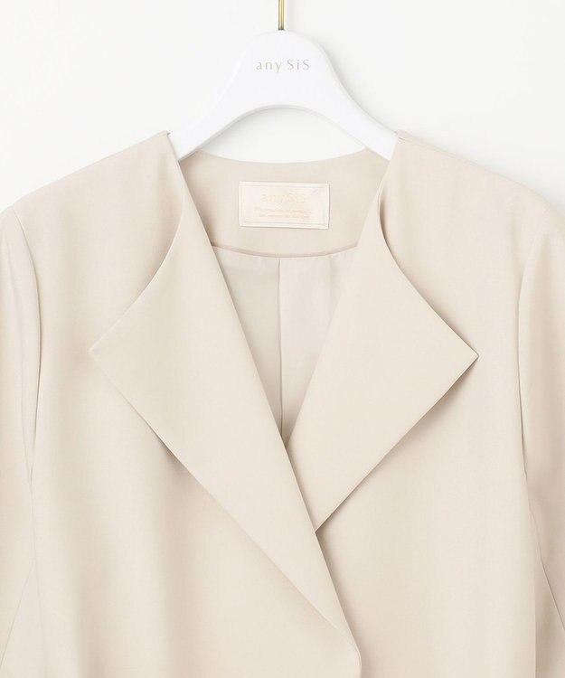 ANY SIS ノーカラーライト テロンチ アイボリー