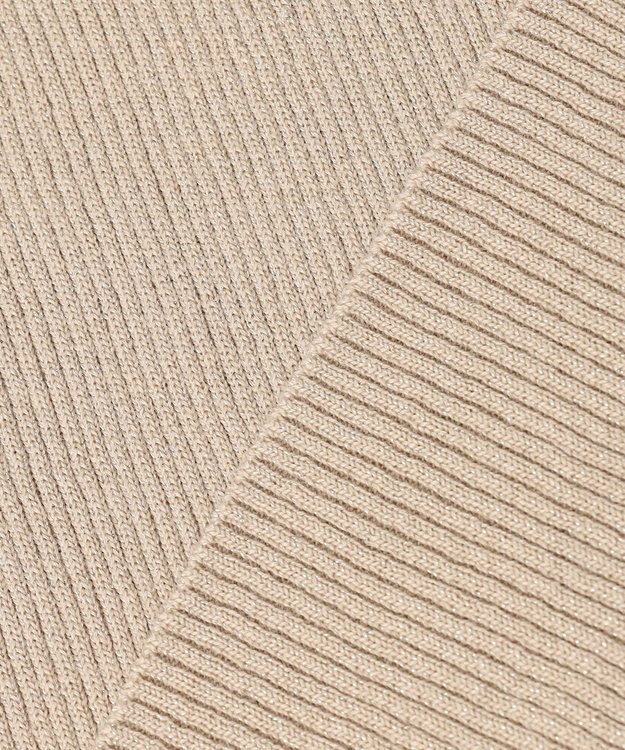 ICB 【洗える】エクストラファインメリノリブ ボートネックニット ベージュ系ラメ