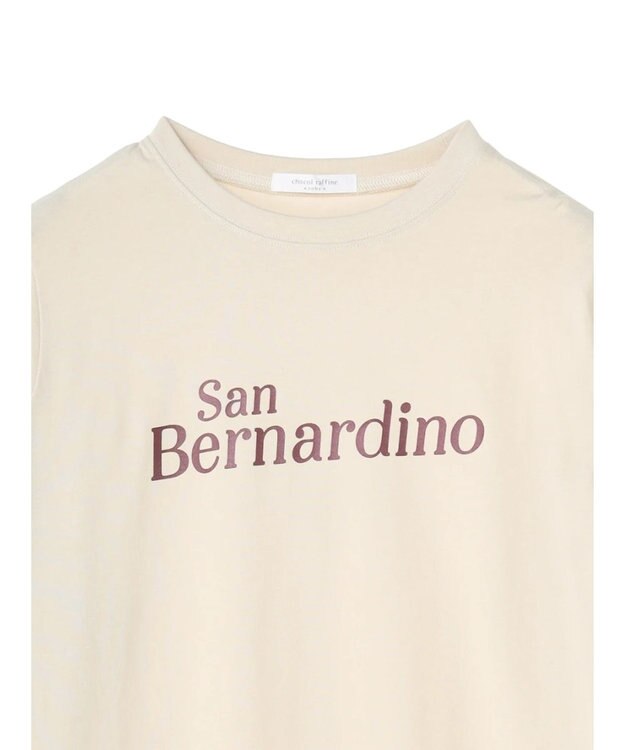 Green Parks コンパクトロゴロンＴ B