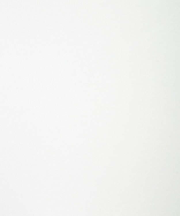 Green Parks １０ｔｈベイマックス／ハーフＺＩＰプルオーバー White