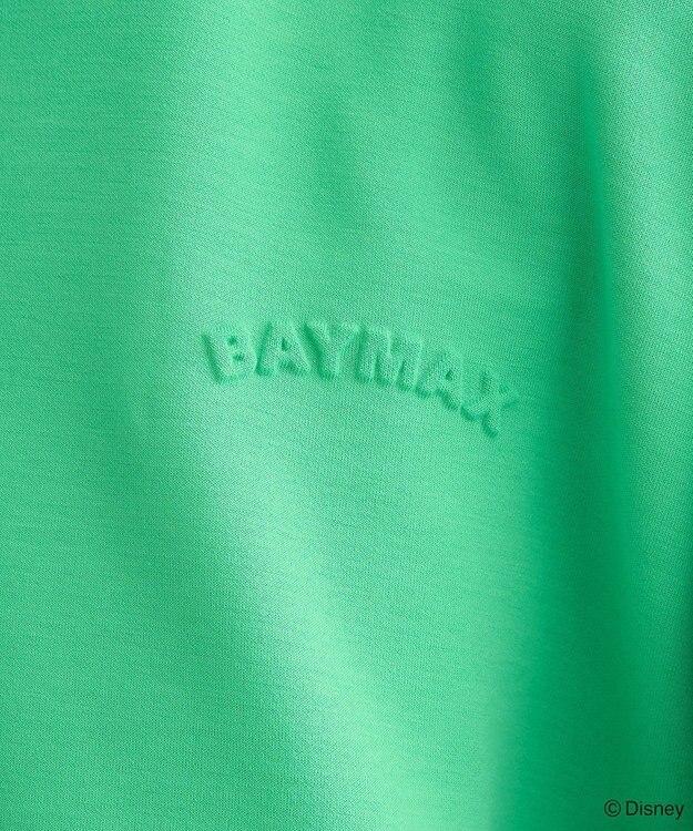 Green Parks １０ｔｈベイマックス／ハーフＺＩＰプルオーバー Green