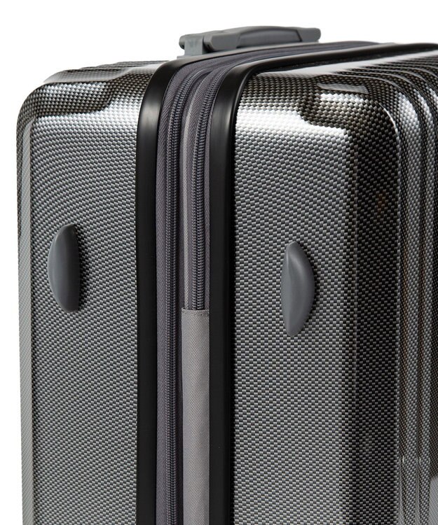 ACE BAGS & LUGGAGE ace. パリセイドZd Mサイズ 59～70L 06818 エース ブラックカーボン