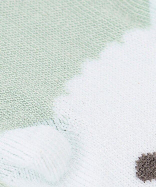 ANY KIDS 【3点セット】ソックス（アニマルセット） ミント