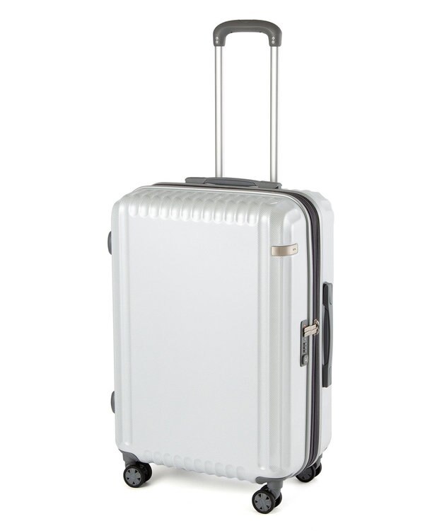 ACE BAGS & LUGGAGE ace. パリセイドZd Mサイズ 59～70L 06818 エース ホワイトカーボン
