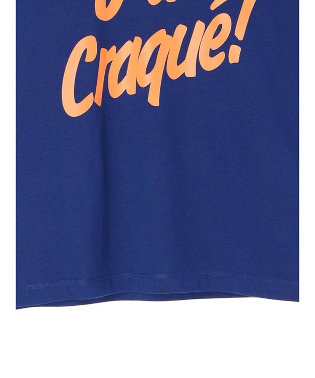 AMERICAN HOLIC Ｏｎｅ　ｗｏｒｄ　ロゴカットプルオーバー Blue