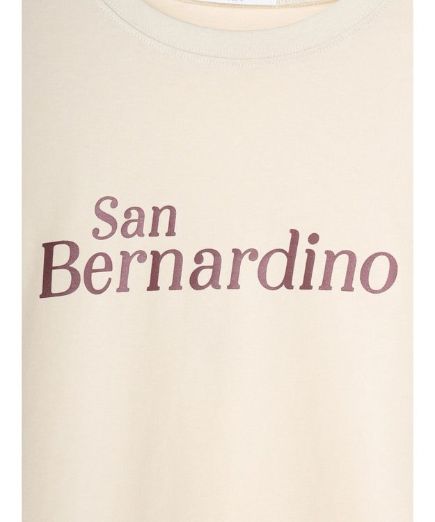 Green Parks コンパクトロゴロンＴ B