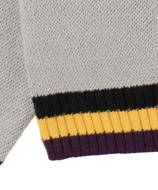 WEGO 【ユニセックス着用ITEM】別注NBAジャガードプルオーバー グレー