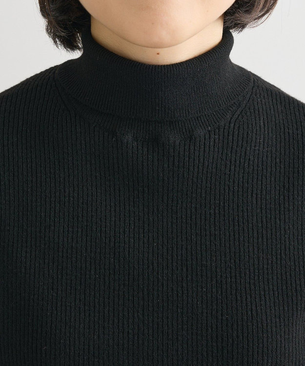 Green Parks チクチクしないリブタートルニットプルオーバー Black