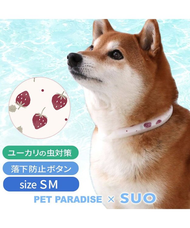 PET PARADISE ペットパラダイス 28℃クールリング  《いちご》 ＳＭ 中型犬 いちご柄