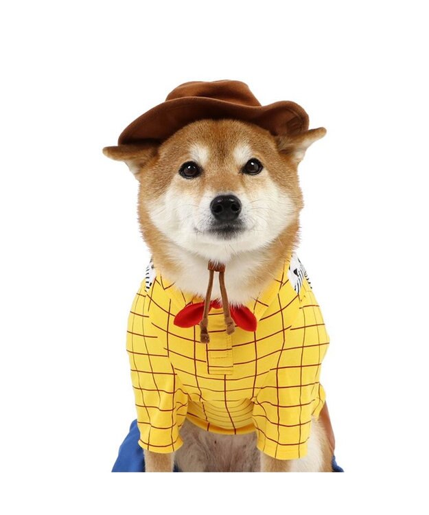 PET PARADISE ディズニー トイ・ストーリー なりきりウッディ 中型犬 -