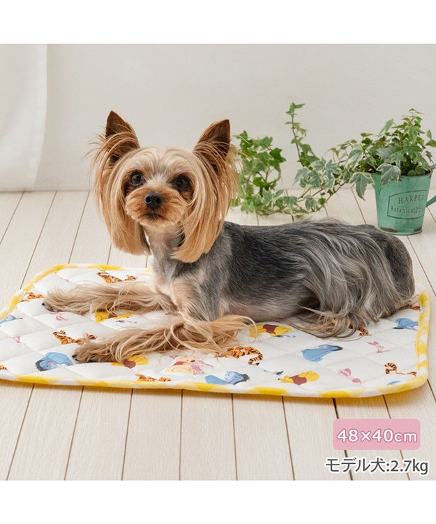 PET PARADISE ディズニー くまのプーさん クールマット 《みんな柄》 Ｓ ホワイト×イエロー