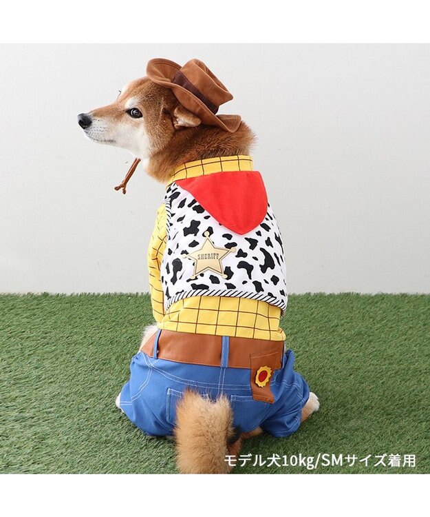 PET PARADISE ディズニー トイ・ストーリー なりきりウッディ 中型犬 -
