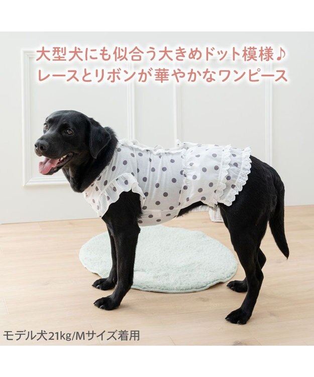 PET PARADISE ペットパラダイス 背中開き フリル ワンピース 《ドット柄》 中型犬 大型犬 ホワイト