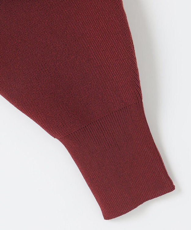 Feroux 【洗える・アンサンブル】パールポイントアンサンブル ニット ワイン系