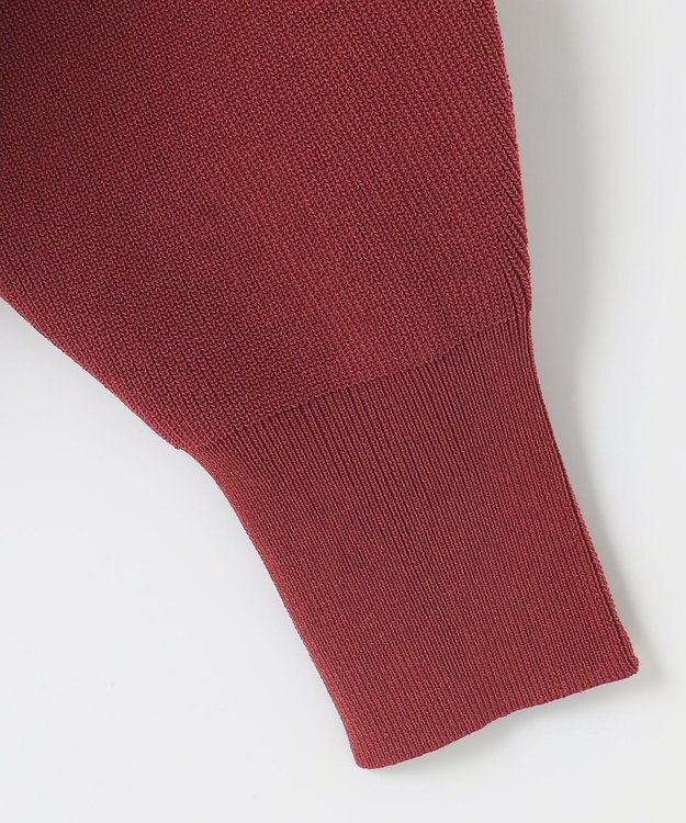 Feroux 【洗える・アンサンブル】パールポイントアンサンブル ニット ワイン系