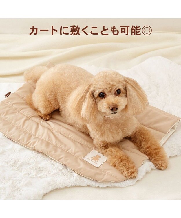 PET PARADISE ペットパラダイス くまちゃん フード付 防寒 ブランケット 小 ベージュ