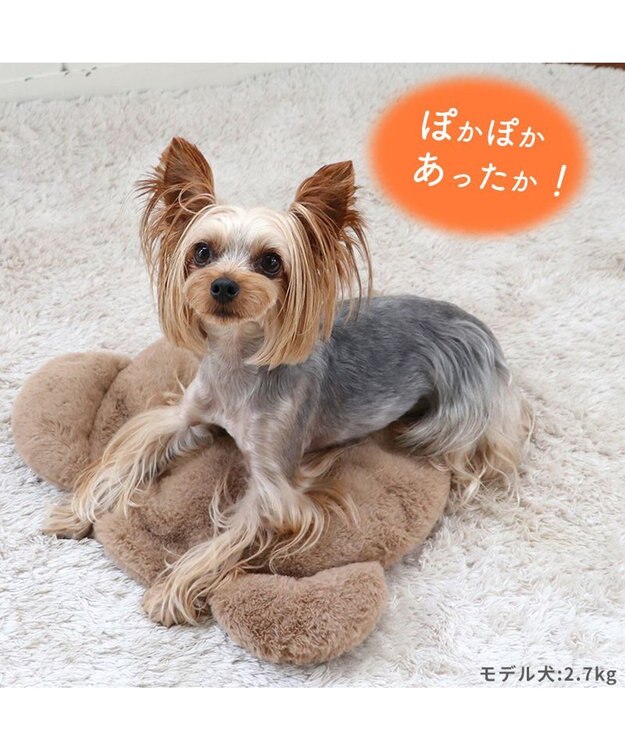 PET PARADISE ペットパラダイス くまちゃん スチームウォーマー ブラウン