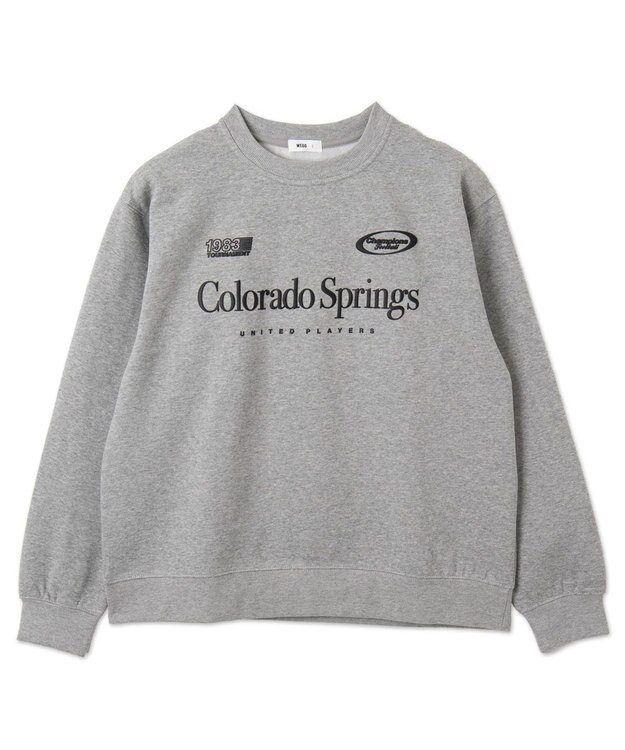 WEGO 【ユニセックス着用ITEM/裏起毛/SMLサイズ展開】リラックスフィットゲームロゴプルオーバー 杢グレー