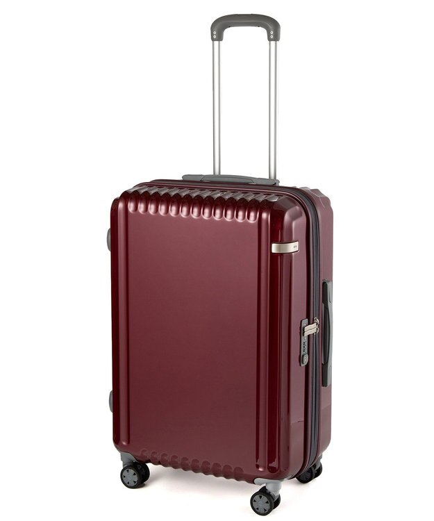 ACE BAGS & LUGGAGE ace. パリセイドZd Mサイズ 59～70L 06818 エース レッド