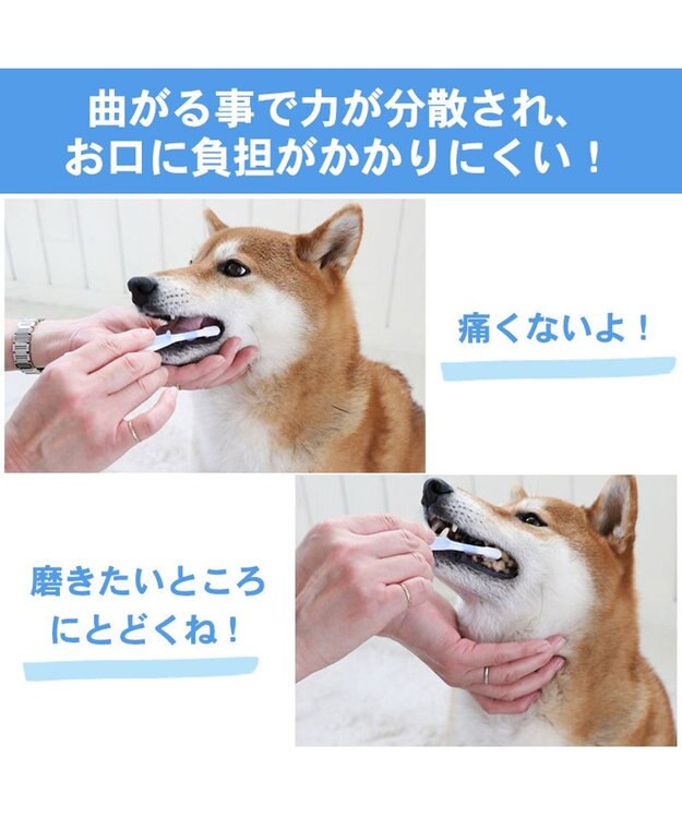 PET PARADISE 【ネット店限定】ペット用品  曲がる 歯ブラシ ２本セット  全犬種対応 白~オフホワイト