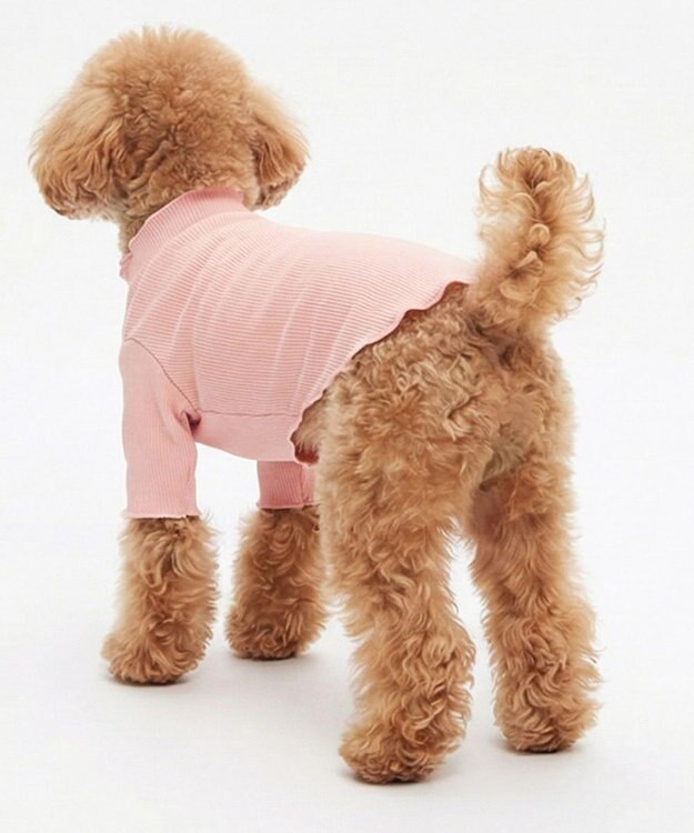 OP／FILA 【Ocean Pacific】メロウドッグウェア ペットウェア ピンク