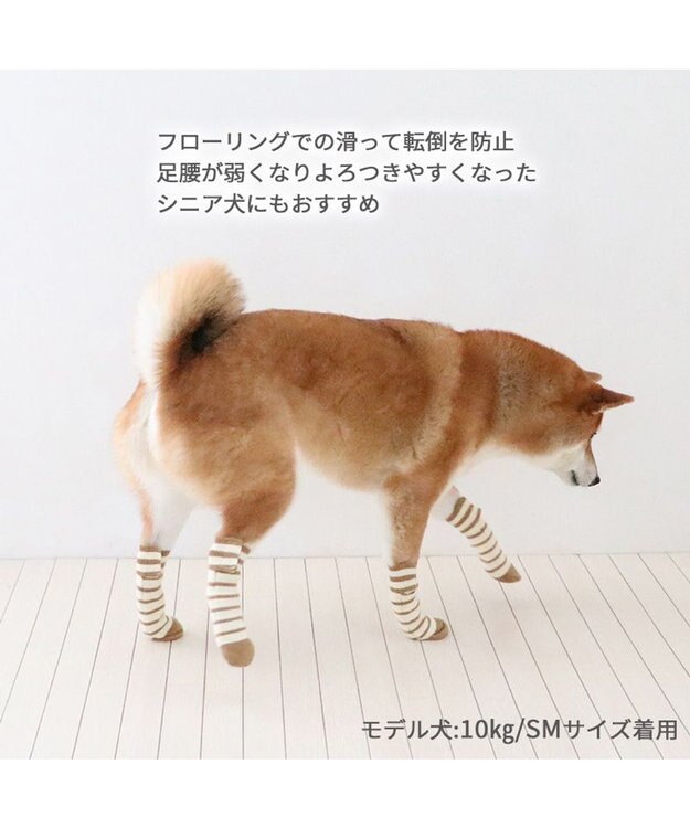 PET PARADISE ペットパラダイス makokoro スリット 靴下  《ボーダー》 ＳＭ 中型犬 ボーダー