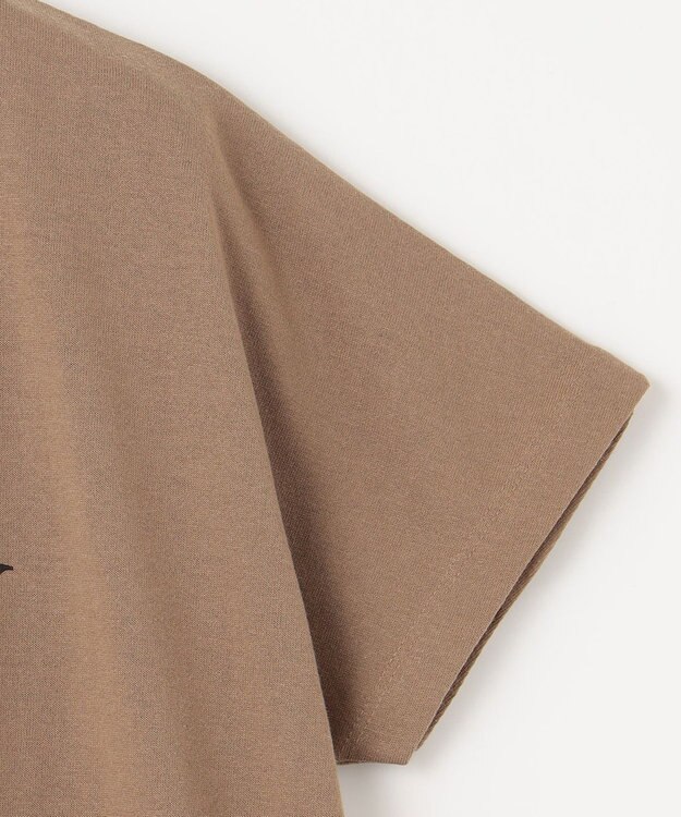 ANY ドルマンスリーブロゴTシャツ キャメル