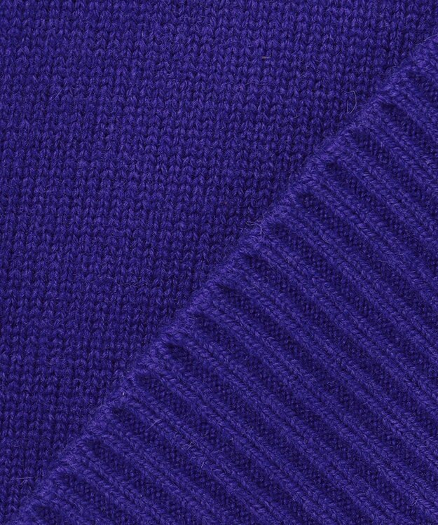 ICB 【新色追加・WEB限定カラーあり】 ソフトカシミヤミックス ハイネックニット ロイヤルブルー系