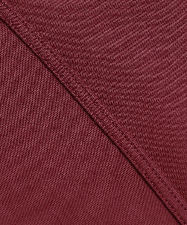 ANY オーガビッツロゴテールＴシャツ バーガンディ