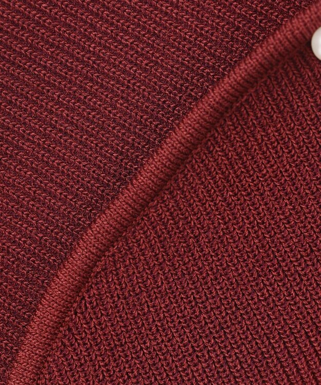 Feroux 【洗える・アンサンブル】パールポイントアンサンブル ニット ワイン系