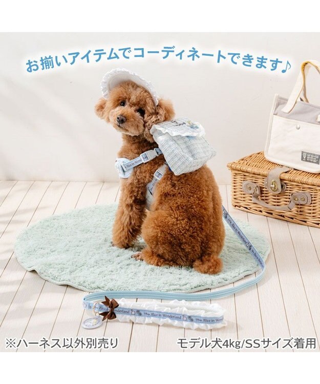 PET PARADISE ディズニー アリス リュックハーネス ＳＳ ブルー