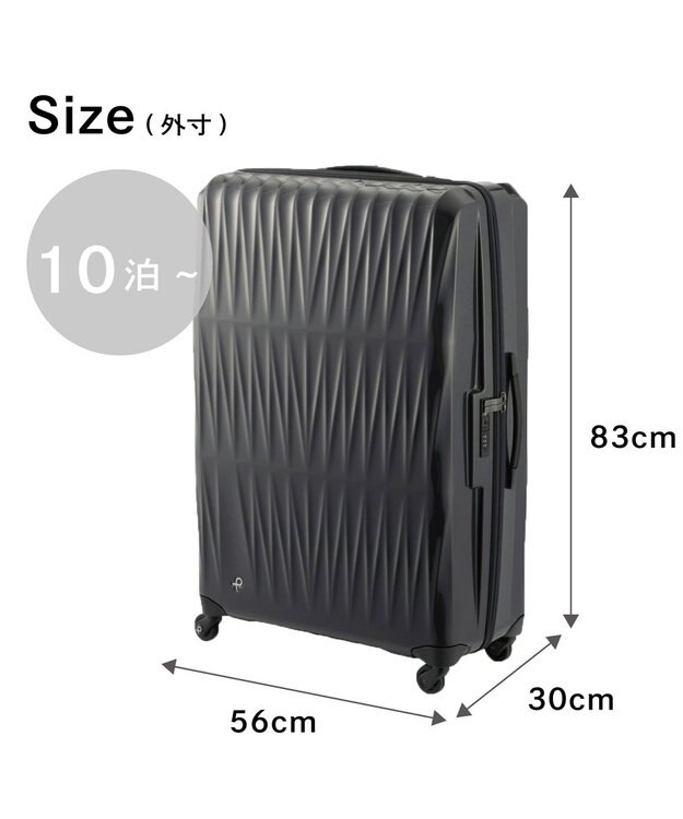 ACE BAGS & LUGGAGE Proteca トリアクシス3 スーツケース 132L 大容量 02495 プロテカ ガンメタリック