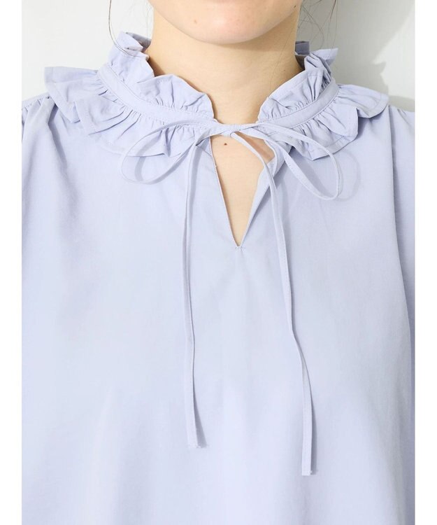 CRAFT STANDARD BOUTIQUE デシンフリル刺繍スリーブブラウス Purple