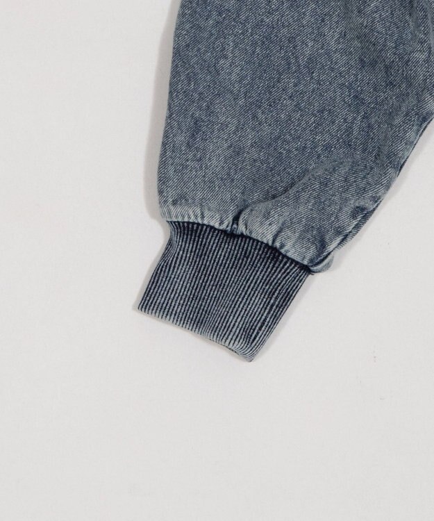 WEGO カレッジロゴBIGZIPパーカー デニム中濃加工色