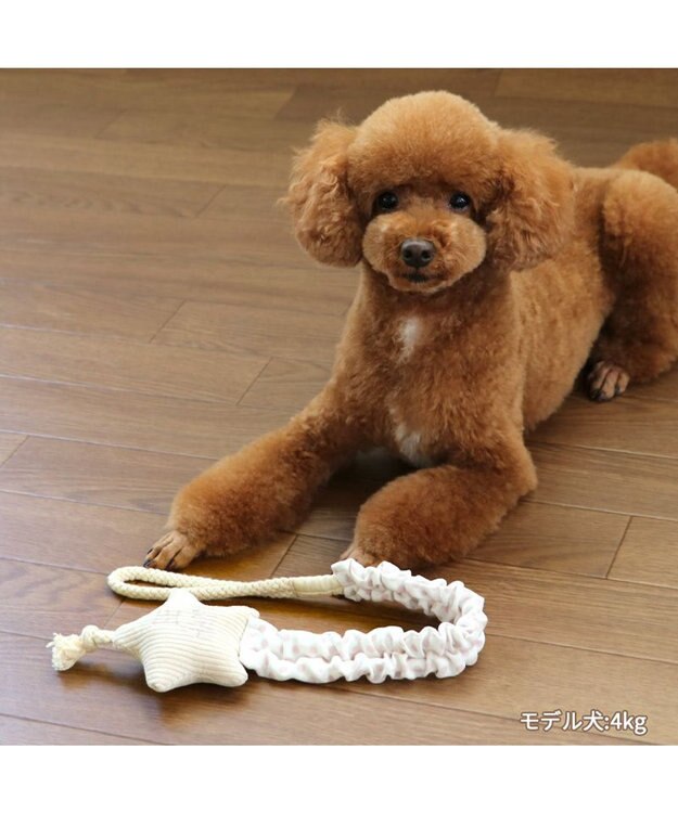 PET PARADISE ペットパラダイス 引っ張り トイ 《雲/星》 星