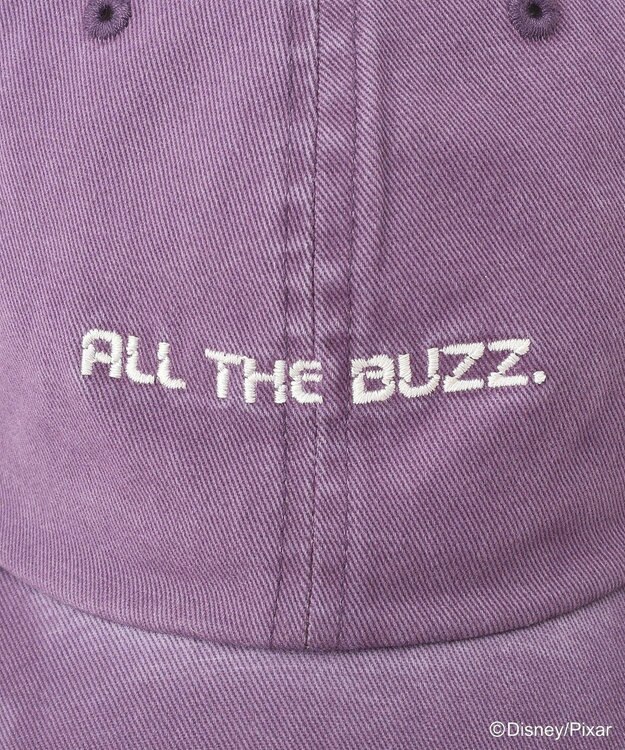 Green Parks トイストーリー／ピグメントキャップ Purple