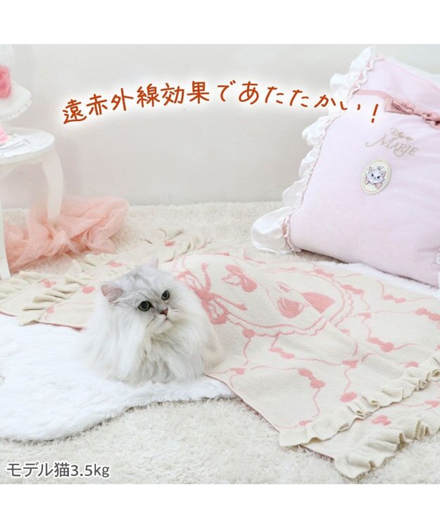 PET PARADISE ディズニー マリー 遠赤外線 猫 ブランケット ベージュ