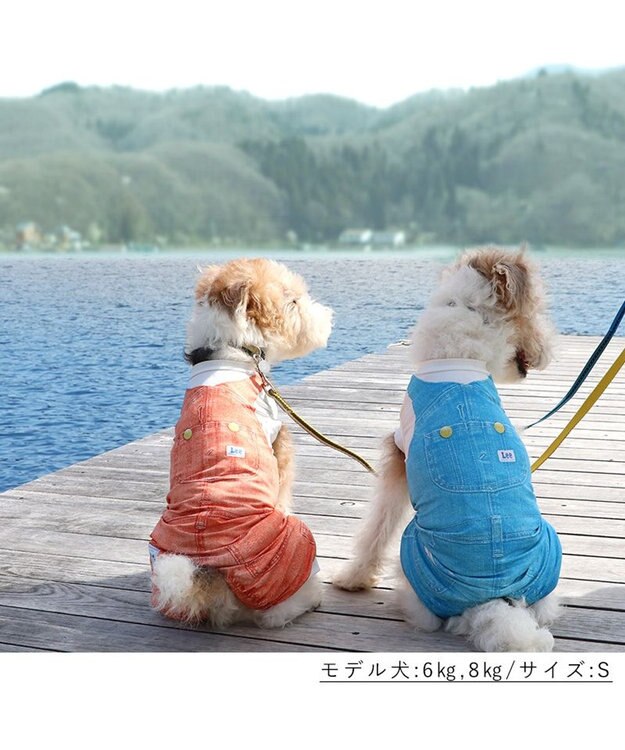 PET PARADISE Ｌｅｅ つなぎ風  ロンパース 【小型犬】《ブルー/オレンジ》クールマックスエコメイド オレンジ