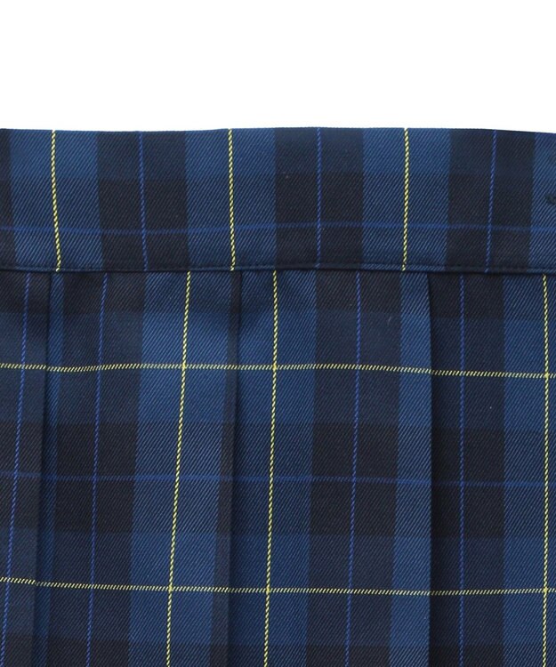 earth music&ecology ミックスプリーツスカート（Ｃｈｅｃｋ） Check