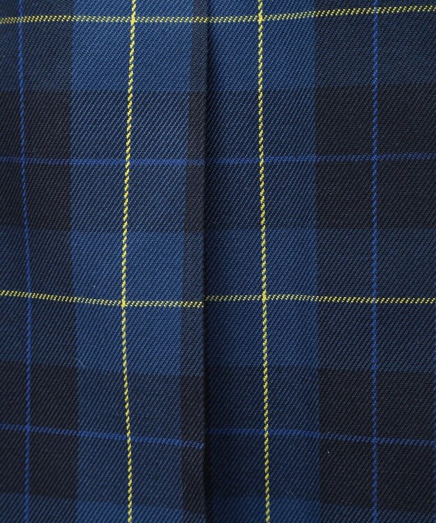 earth music&ecology ミックスプリーツスカート（Ｃｈｅｃｋ） Check