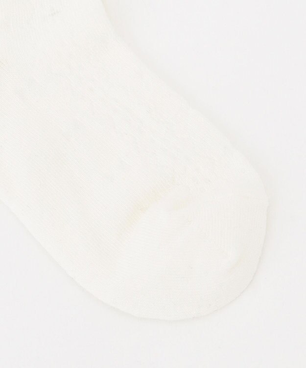 ANY KIDS 【3点セット】ソックス（おめかしセット） ラベンダー