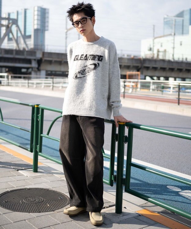 WEGO 【ユニセックス着用ITEM/MLサイズ展開】シャギーグラフィックプルオーバー グレー