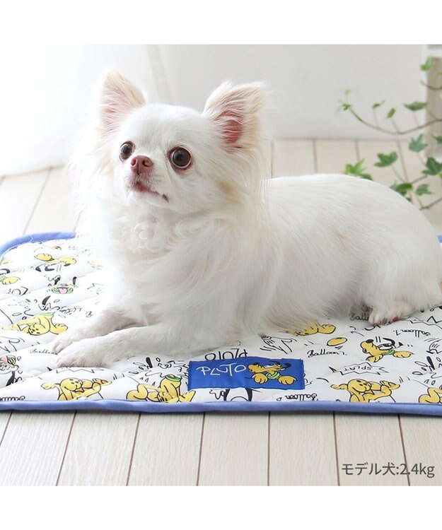 PET PARADISE ディズニー プルート クールマット 小型犬  48×40㎝ ブルー
