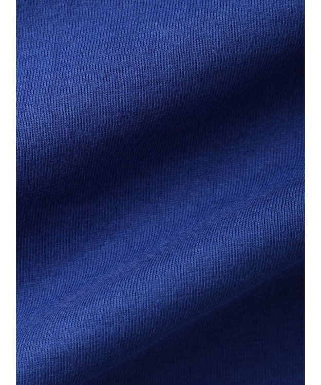 AMERICAN HOLIC Ｏｎｅ　ｗｏｒｄ　ロゴカットプルオーバー Blue