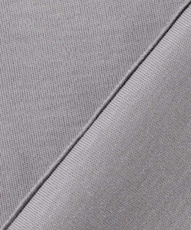 ANY L シルケットスムースジャガードスリーブプルオーバー グレー