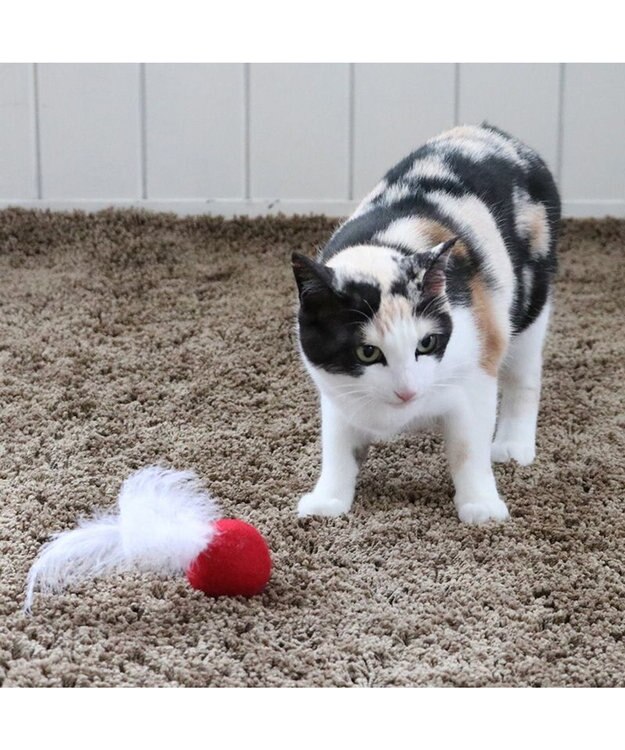 PET PARADISE ペットパラダイス 猫 羊毛ボール 羽付き 【単品】 レッド
