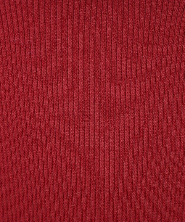 earth music&ecology やわらかタッチタートルネックニットプルオーバー Red