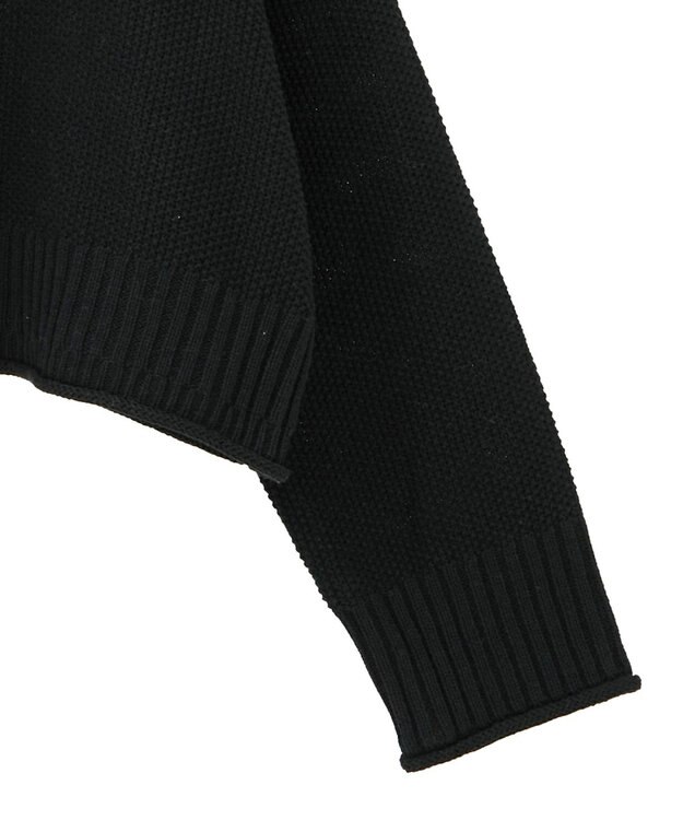 earth music&ecology 【洗濯機洗い可 / 選べる丈】アンチピリングC/A選べる丈配色ニット ブラック